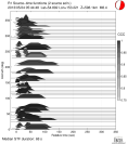 Azimuthally binned R1 STFs using a 2 triangle source 