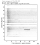 Body wave record section 0.3 - 1.0 Hz Vertical