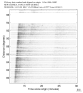 USArray body wave record section 0.3 - 1.0 Hz Vertical