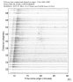 USArray body wave record section 0.3 - 1.0 Hz Vertical