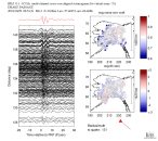 TA virtual network MCCC aligned traces 0.1 - 0.5 Hz Vertical
