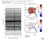 TA virtual network MCCC aligned traces 0.1 - 0.5 Hz Vertical