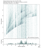 Body wave envelope stacks 0.3 - 1.0 Hz Vertical