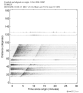 Body wave record section 0.3 - 1.0 Hz Vertical