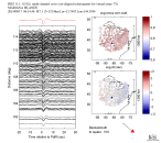 TA virtual network MCCC aligned traces 0.1 - 0.5 Hz Vertical