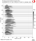 Azimuthally binned R1 STFs using a 2 triangle source 