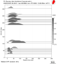 Azimuthally binned R1 STFs using a 2 triangle source 