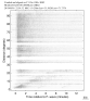 Body wave record section 0.3 - 1.0 Hz Vertical