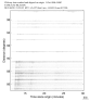 USArray body wave record section 0.3 - 1.0 Hz Vertical