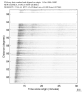 USArray body wave record section 0.3 - 1.0 Hz Vertical