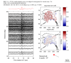 TA virtual network MCCC aligned traces 0.1 - 0.5 Hz Vertical
