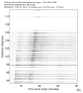 USArray body wave record section 0.3 - 1.0 Hz Vertical