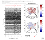 TA virtual network MCCC aligned traces 0.1 - 0.5 Hz Vertical