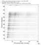 USArray body wave record section 0.3 - 1.0 Hz Vertical