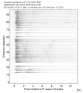 Body wave record section 0.3 - 1.0 Hz Vertical