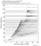 Body wave record section 0.3 - 1.0 Hz Vertical