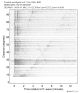 Body wave record section 0.3 - 1.0 Hz Vertical