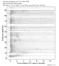 Body wave record section 0.3 - 1.0 Hz Vertical
