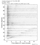 Body wave record section 0.3 - 1.0 Hz Vertical