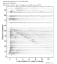 Body wave record section 0.3 - 1.0 Hz Vertical