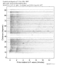 Body wave record section 0.3 - 1.0 Hz Vertical