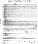 All networks, combed and aligned on P, filter
