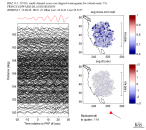 TA virtual network MCCC aligned traces 0.1 - 0.5 Hz Vertical